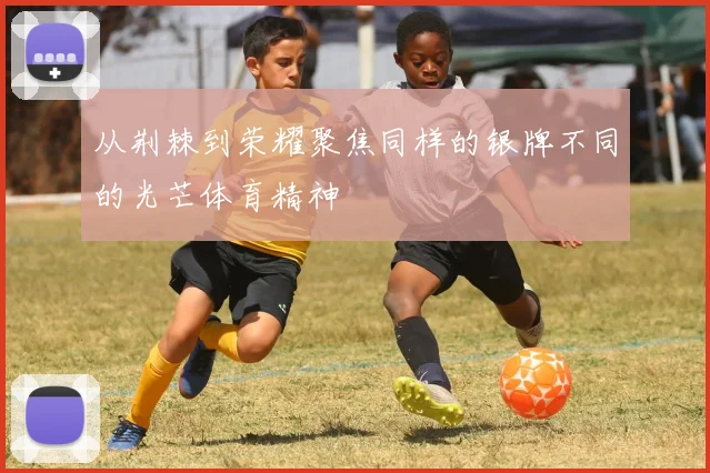 从荆棘到荣耀聚焦同样的银牌不同的光芒体育精神