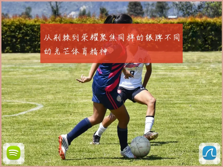 从荆棘到荣耀聚焦同样的银牌不同的光芒体育精神