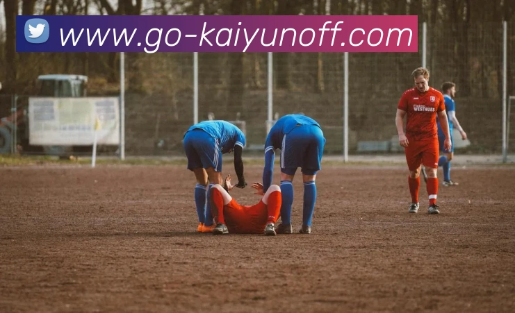 开云2026入口平台生态图